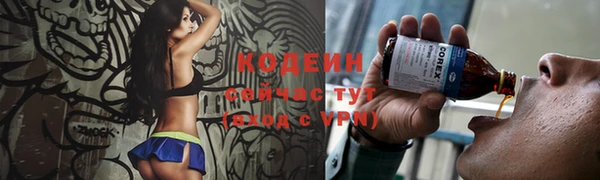 соль ск Белокуриха