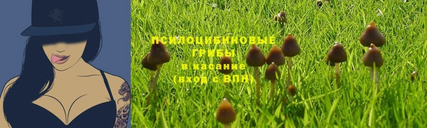 соль ск Белокуриха