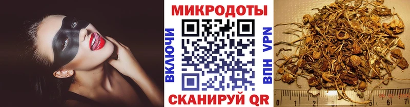 как найти наркотики  Козьмодемьянск  Псилоцибиновые грибы мухоморы 